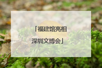 福建馆亮相深圳文博会