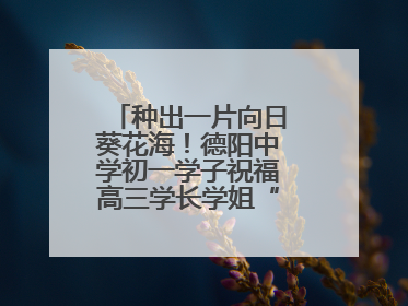 种出一片向日葵花海！德阳中学初一学子祝福高三学长学姐“一举夺魁”