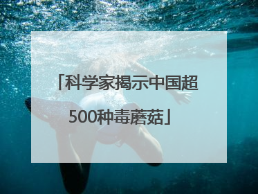 科学家揭示中国超500种毒蘑菇