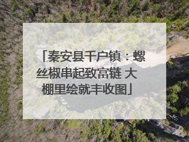 秦安县千户镇：螺丝椒串起致富链 大棚里绘就丰收图