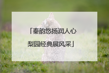 秦韵悠扬润人心 梨园经典展风采
