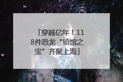 穿越亿年！118件恐龙“镇馆之宝”齐聚上海