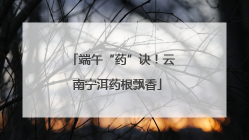 端午“药”诀！云南宁洱药根飘香