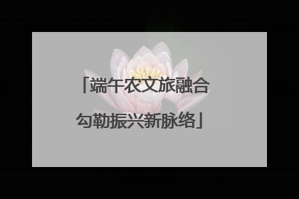 端午农文旅融合 勾勒振兴新脉络