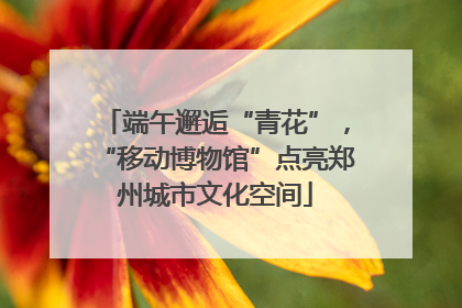 端午邂逅“青花”，“移动博物馆”点亮郑州城市文化空间