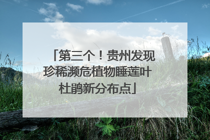 第三个！贵州发现珍稀濒危植物睡莲叶杜鹃新分布点