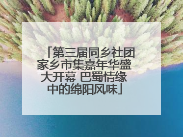 第三届同乡社团家乡市集嘉年华盛大开幕 巴蜀情缘中的绵阳风味