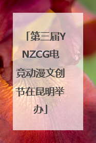 第三届YNZCG电竞动漫文创节在昆明举办