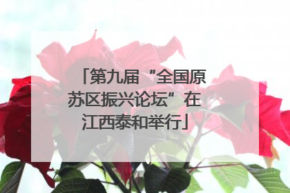 第九届“全国原苏区振兴论坛”在江西泰和举行
