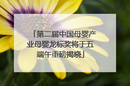 第二届中国母婴产业母婴龙标奖将于五端午重磅揭晓