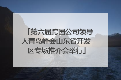 第六届跨国公司领导人青岛峰会山东省开发区专场推介会举行