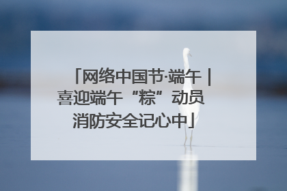 网络中国节·端午｜喜迎端午“粽”动员 消防安全记心中