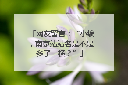 网友留言：“小编，南京站站名是不是多了一横？”