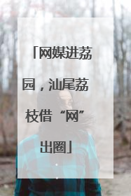 网媒进荔园，汕尾荔枝借“网”出圈