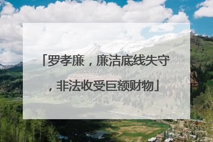 罗孝廉，廉洁底线失守，非法收受巨额财物