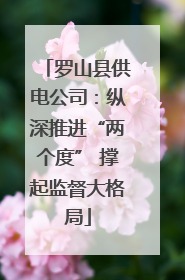 罗山县供电公司：纵深推进“两个度” 撑起监督大格局