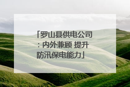 罗山县供电公司：内外兼顾 提升防汛保电能力