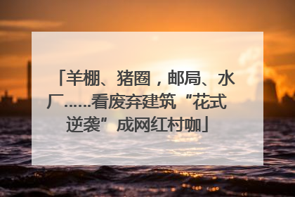 羊棚、猪圈，邮局、水厂……看废弃建筑“花式逆袭”成网红村咖