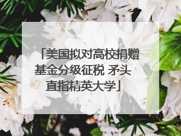 美国拟对高校捐赠基金分级征税 矛头直指精英大学