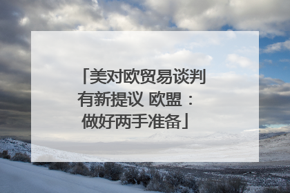 美对欧贸易谈判有新提议 欧盟：做好两手准备