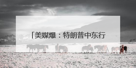 美媒爆：特朗普中东行期间承认自己和苹果CEO库克“有点小问题”