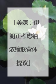 美媒：伊朗正考虑铀浓缩联营体提议