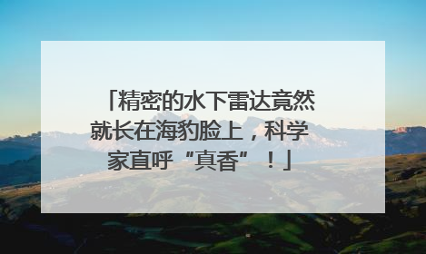 精密的水下雷达竟然就长在海豹脸上，科学家直呼“真香”！