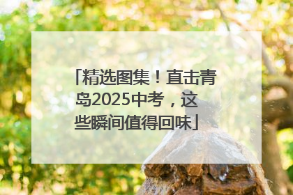精选图集！直击青岛2025中考，这些瞬间值得回味