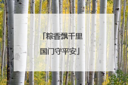 粽香飘千里 国门守平安