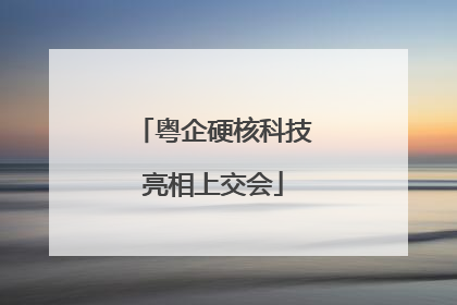 粤企硬核科技亮相上交会