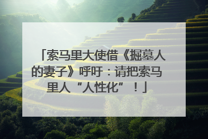 索马里大使借《掘墓人的妻子》呼吁：请把索马里人“人性化”！