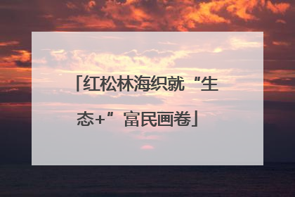 红松林海织就“生态+”富民画卷