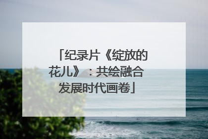 纪录片《绽放的花儿》：共绘融合发展时代画卷