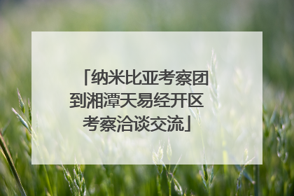纳米比亚考察团到湘潭天易经开区考察洽谈交流