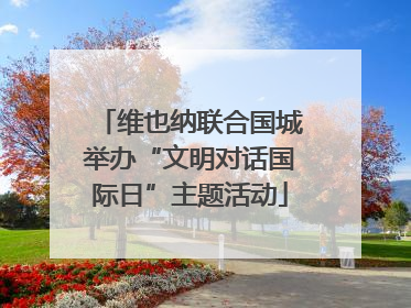 维也纳联合国城举办“文明对话国际日”主题活动