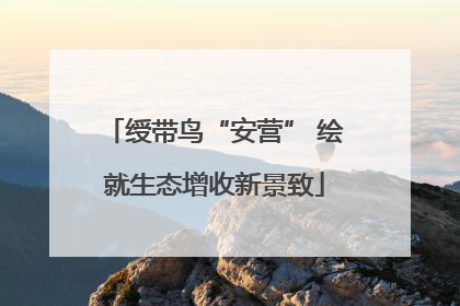 绶带鸟“安营” 绘就生态增收新景致