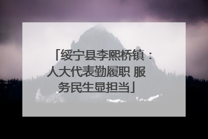 绥宁县李熙桥镇：人大代表勤履职 服务民生显担当