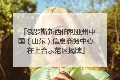 俄罗斯新西伯利亚州中国（山东）信息商务中心在上合示范区揭牌