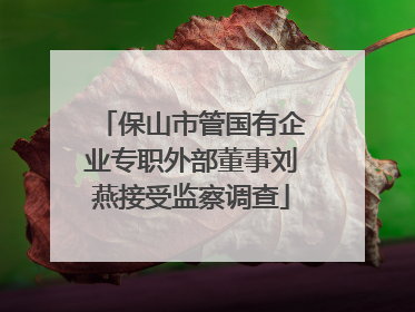 保山市管国有企业专职外部董事刘燕接受监察调查