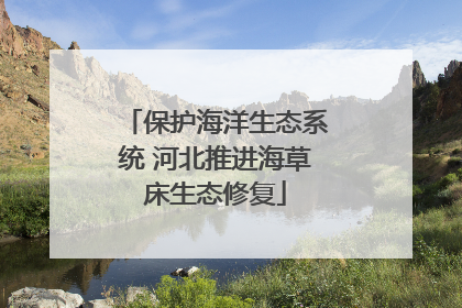 保护海洋生态系统 河北推进海草床生态修复