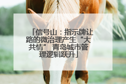 信号山：指示牌让路的微治理产生“大共情” 青岛城市管理逻辑跃升