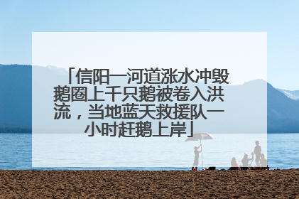 信阳一河道涨水冲毁鹅圈上千只鹅被卷入洪流，当地蓝天救援队一小时赶鹅上岸