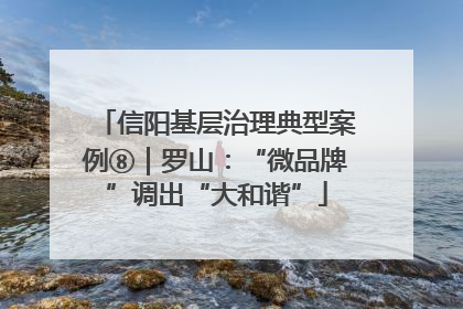 信阳基层治理典型案例⑧｜罗山：“微品牌”调出“大和谐”