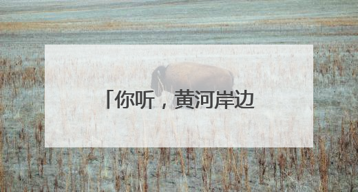 你听，黄河岸边的鸟儿正在歌唱