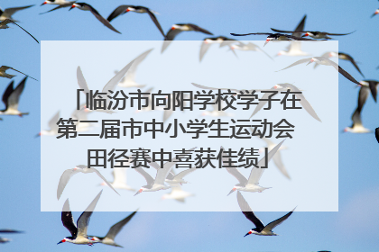 临汾市向阳学校学子在第二届市中小学生运动会田径赛中喜获佳绩
