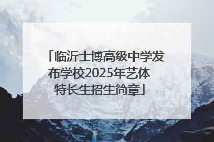 临沂士博高级中学发布学校2025年艺体特长生招生简章
