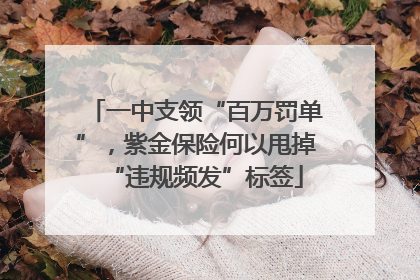 一中支领“百万罚单”，紫金保险何以甩掉“违规频发”标签