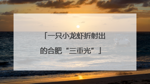 一只小龙虾折射出的合肥“三重光”