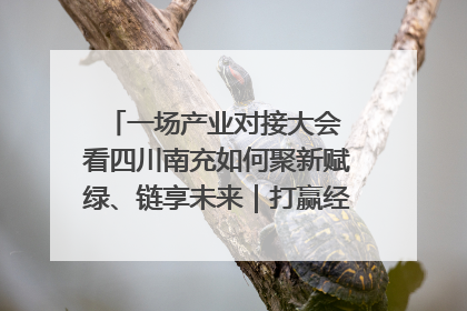 一场产业对接大会 看四川南充如何聚新赋绿、链享未来｜打赢经济发展翻身仗
