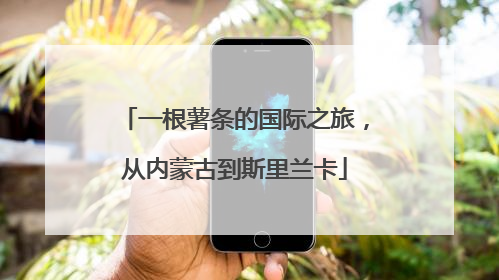 一根薯条的国际之旅，从内蒙古到斯里兰卡